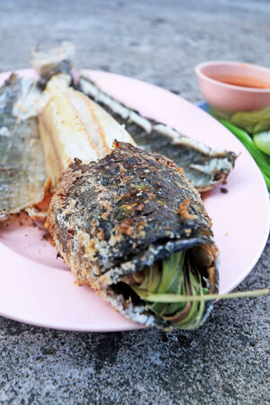 Grill snake head fish with salt coatedの写真素材