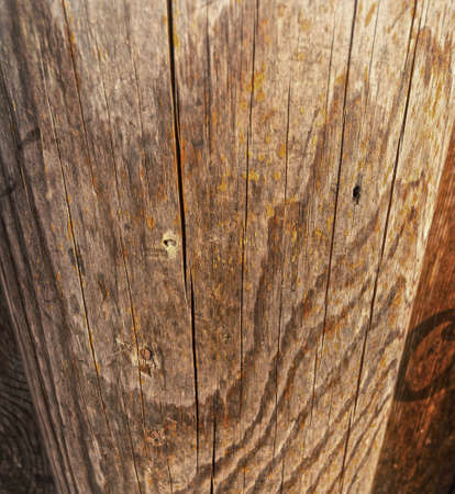 Old wood backgroundの写真素材