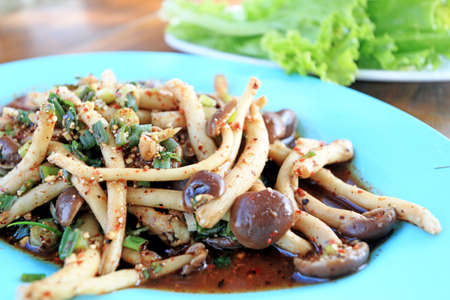 Spicy mushroom salad with lettuce green の写真素材