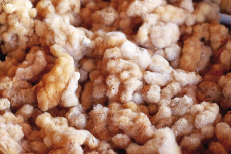 Hand made of raw silkの写真素材