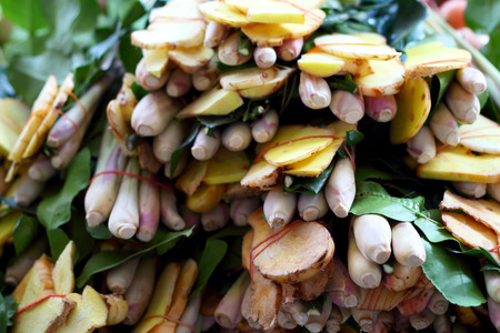 Lemongrass, galangal, kaffir lime leaves for soup.の写真素材