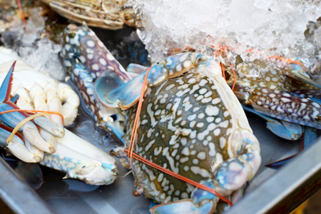 Fresh crab in the marketの写真素材