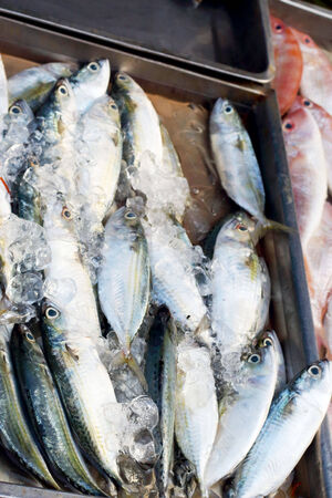 Fresh fish in the market の写真素材