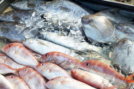 Fresh fish in the market 