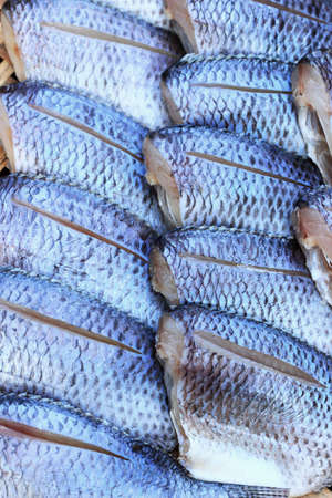 Fresh fish in the market の写真素材