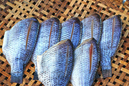 Fresh fish in the market の写真素材