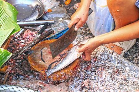 Fresh fish in the market.