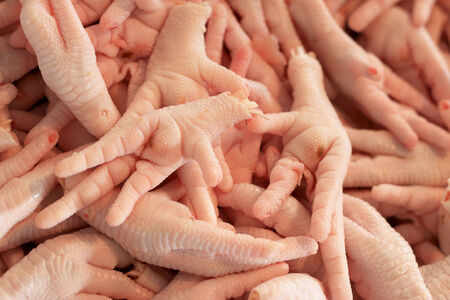 Fresh chicken feet marketの写真素材