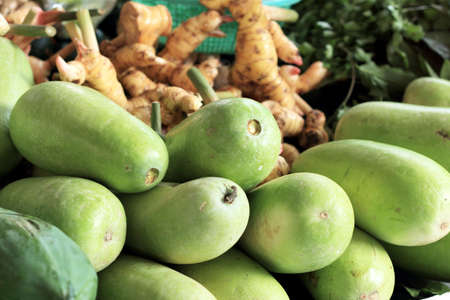 green eggplant in the marketの写真素材