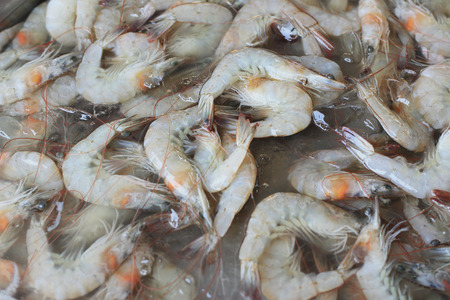 Fresh shrimp in the marketの写真素材