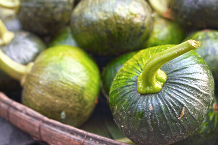 green pumpkins at the marketの写真素材