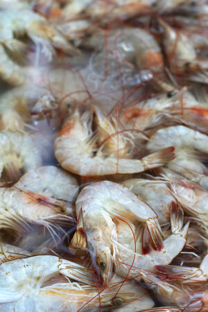 Fresh shrimp in marketの写真素材