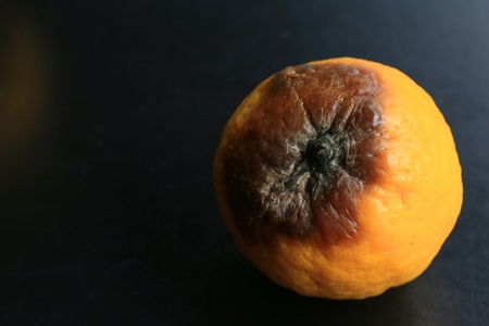 rotten lemonの写真素材