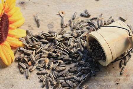 Sunflower seedsの写真素材