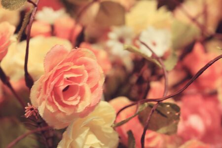 Blurred flowersの写真素材