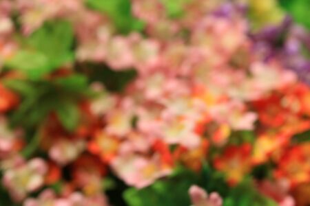 Blurred flowers