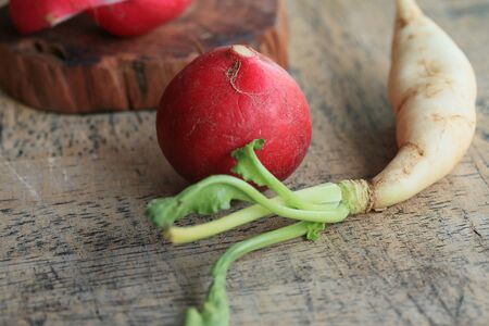 Fresh radishes