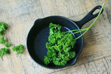 Parsley leavesの写真素材