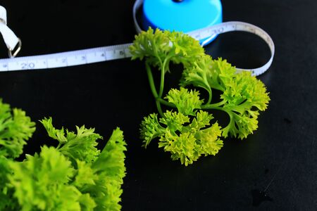 Parsley leavesの写真素材