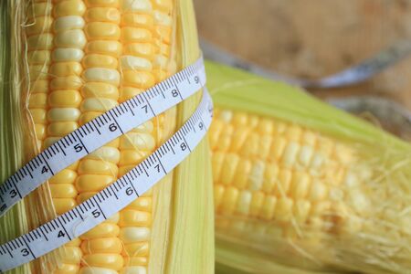 sweet cornの写真素材