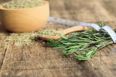 rosemary leavesの写真素材