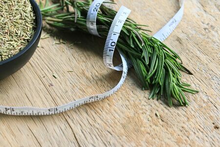 rosemary leavesの写真素材