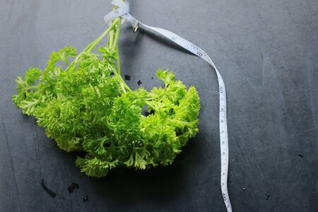 Parsley leavesの写真素材