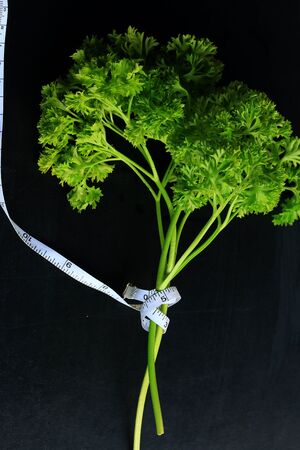 Parsley leavesの写真素材