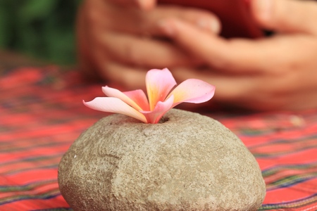 woman using smart phoneの写真素材