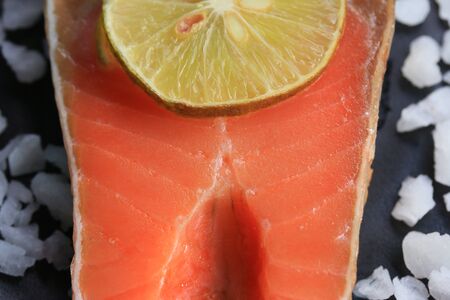 salmon fish