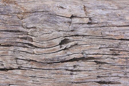 Old wood vintage background