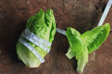 Chinese cabbageの写真素材