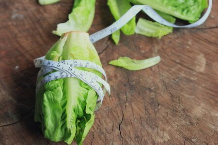 Chinese cabbageの写真素材