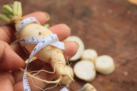 Radishの写真素材