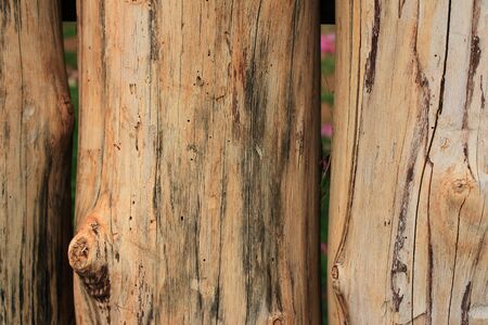Timber