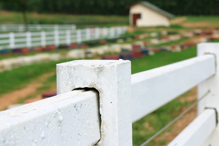 White fence on the farmの写真素材