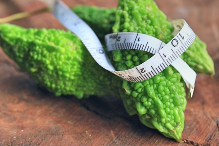 bitter melonの写真素材