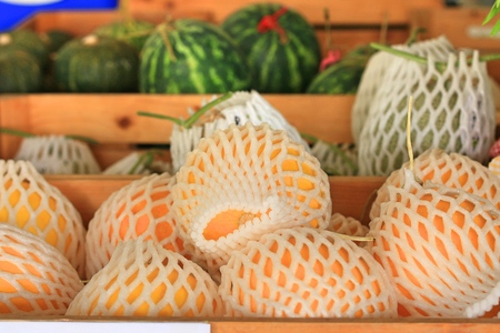 Lemmonの写真素材