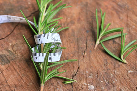 Rosemary leavesの写真素材