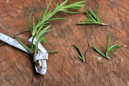 Rosemary leavesの写真素材