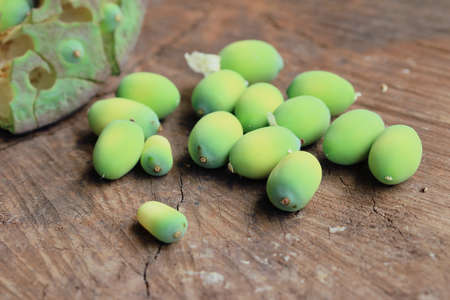 seed lotusの写真素材