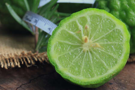 fresh kaffirの写真素材