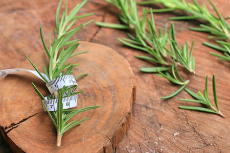 Rosemary leavesの写真素材