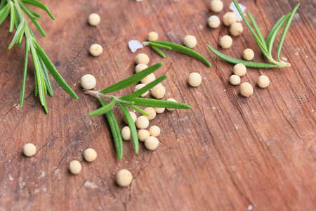 Rosemary leavesの写真素材