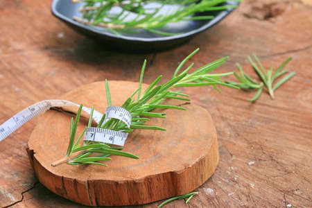 Rosemary leavesの写真素材