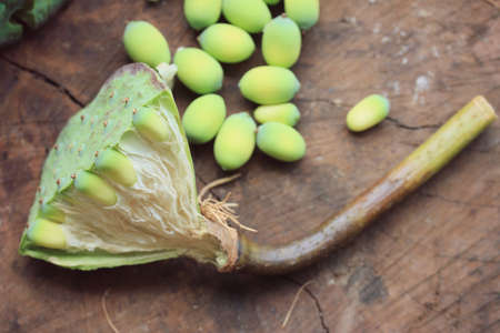 seed lotusの写真素材