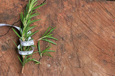 Rosemary leavesの写真素材