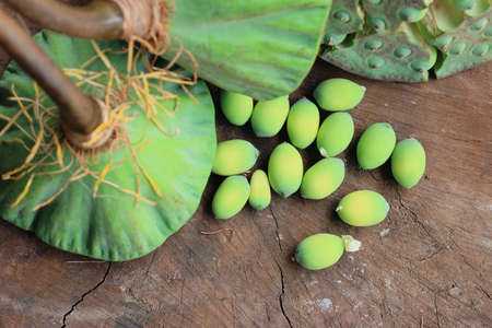 seed lotusの写真素材