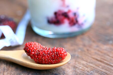 Mulberry fruit and yogurtの写真素材