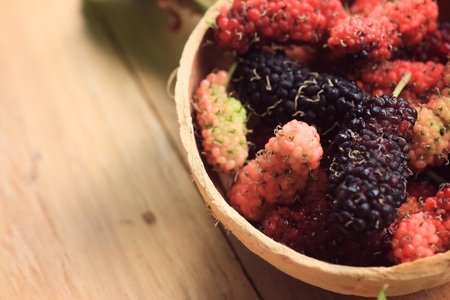 fresh organic mulberry fruitの写真素材